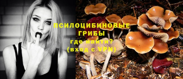 крисы Абдулино