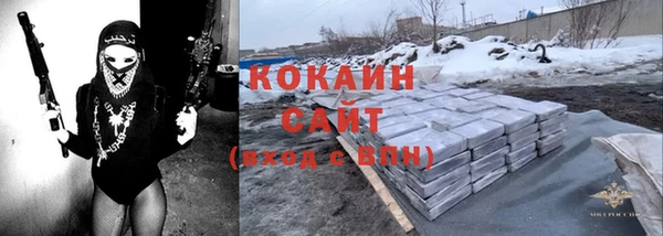 ешки Алексин