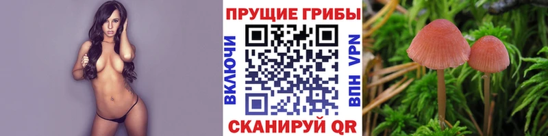 Галлюциногенные грибы прущие грибы  Каменск-Уральский 