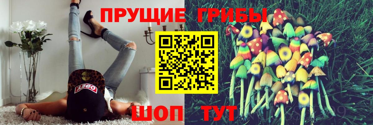 Каменск-Уральский  Галлюциногенные грибы Psilocybe  Вход с VPN 
