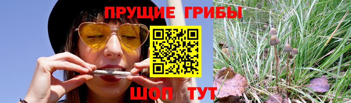 Псилоцибиновые грибы мицелий Каменск-Уральский